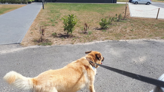 ../fotos/het_verlaat_2018/2018-07-29 12.06.11.jpg